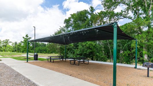Whitewing Trails: Woodbridge 5