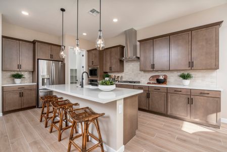 Trovita at Citrus Park 13