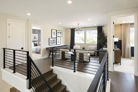 The Manors Collection at Bluff Haven 12