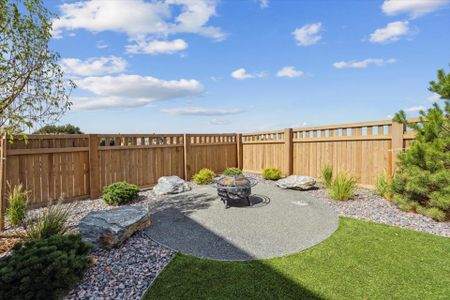 The Haven Collection at Windler by Century Communities in Aurora - image 6