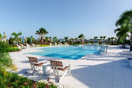 Coasterra by M/I Homes in Palmetto - image 19