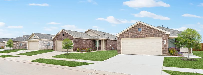 Walden Pond: Cottage East by Lennar in Forney - image