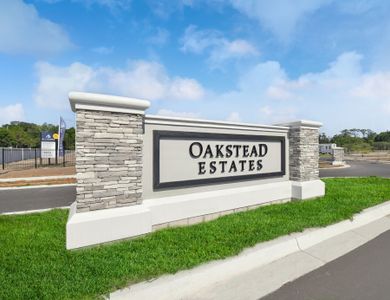 Oakstead Estates by M/I Homes in Land O' Lakes - photo 8 8