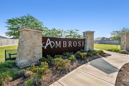Ambrose by M/I Homes in La Marque - image 2