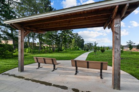 Lone Star Landing by M/I Homes in Montgomery - photo 16 16