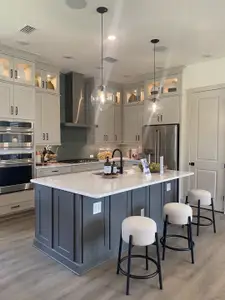 Seven Pines by ICI Homes in Jacksonville - image 7