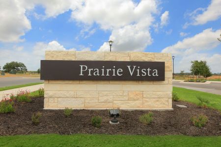 The Colony by M/I Homes in Bastrop - photo 18 18