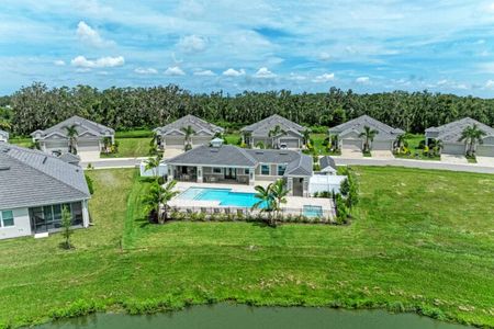 The Laurels by Medallion Home in Parrish - image 16