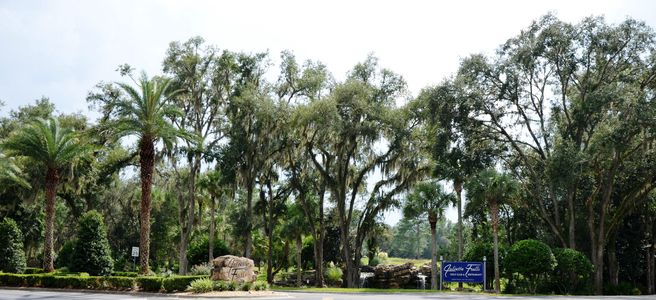 Juliette Falls by Estela Living in Ocala - image