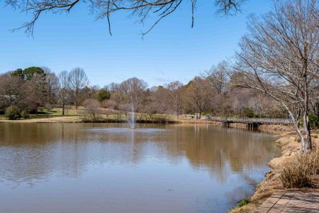 Cove at Davidson Bay by Copper Builders in Davidson - photo 37 37