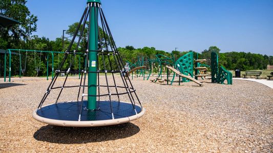 Whitewing Trails: Woodbridge 4
