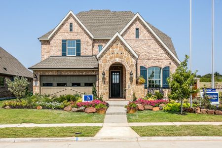 Painted Tree - Classic Series by David Weekley Homes in McKinney - photo 6 6