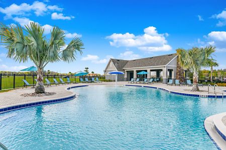 Hawkstone by Casa Fresca Homes in Riverview - image 12