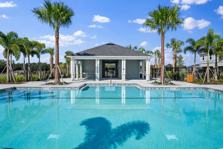 Gardenia Reserve by Mattamy Homes in Apopka - photo 3 3