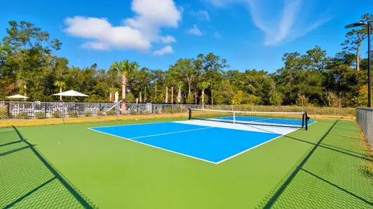 Misting Springs by D.R. Horton in Crawfordville - image