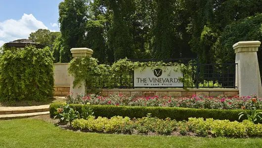 The Vineyards on Lake Wylie by D.R. Horton in Charlotte - photo