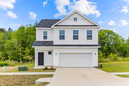 East Lake by Dream Finders Homes in Leland - image