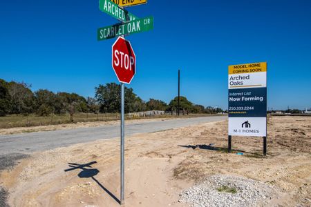 Arched Oaks by M/I Homes in Floresville - photo 23 23