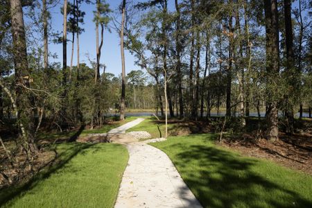 Audubon by Westin Homes in Magnolia - image 3