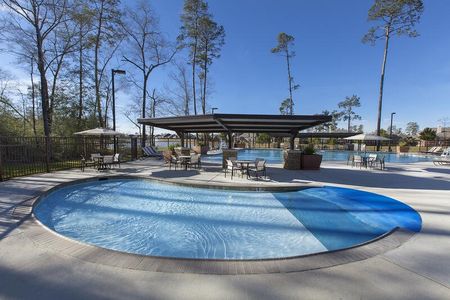 The Meadows at Imperial Oaks by David Weekley Homes in Conroe - image 2
