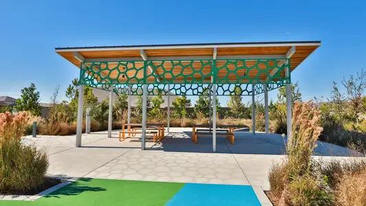 Bridgeland Creekland Village by DRB Homes in Cypress - image 4