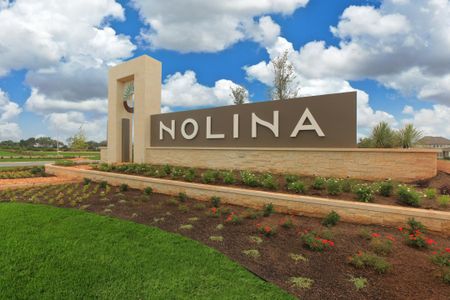 Nolina by Westin Homes in Georgetown - image 4