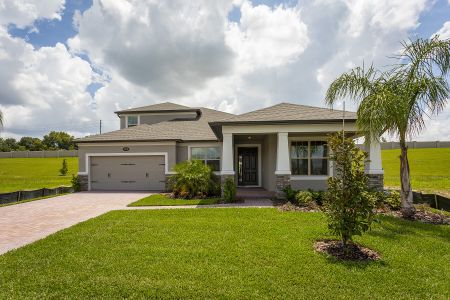 Red Ember by M/I Homes in Oviedo - photo 5 5