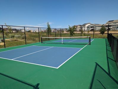 Barefoot Lakes by American Legend Homes in Firestone - photo 11 11