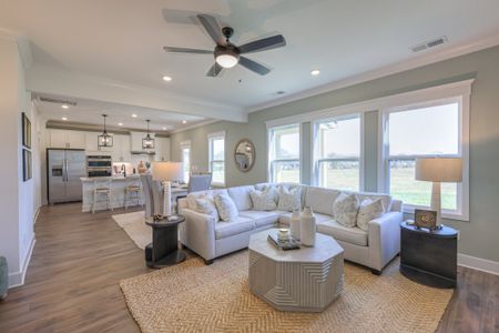 Dorris Farm at Willow Springs by Goodall Homes in White House - image 14