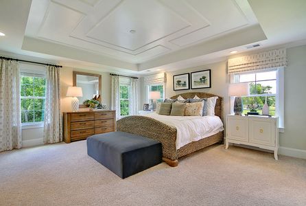 Hewing Farms by Mungo Homes in Summerville - photo 47 47