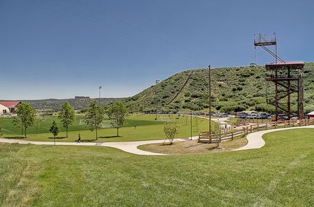 Crystal Valley Pine Ridge by D.R. Horton in Castle Rock - photo 26 26