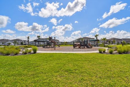 Whispering Oaks Preserve by M/I Homes in Wesley Chapel - photo 8 8