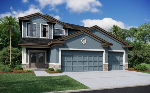 Rose Haven by Vitale Homes in New Port Richey - photo 13 13