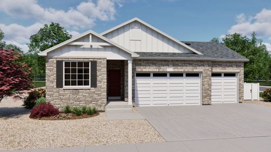 Brio Collection at Reunion - image