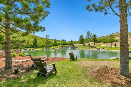 Crystal Valley Pine Ridge by D.R. Horton in Castle Rock - photo 28 28