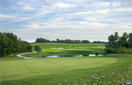 Buffalo Ridge by Grand Homes in Celina - photo 5 5