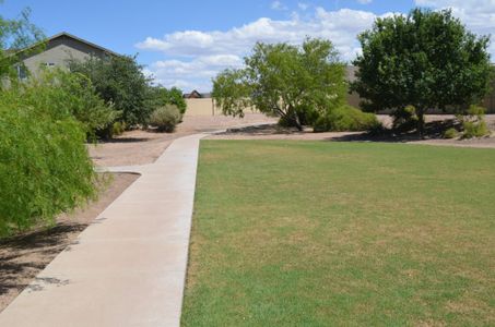 Hatfield Ranch by Providence Homes (Arizona) in Tolleson - photo 6 6