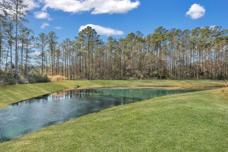 Wexford by Ernest Homes in Richmond Hill - image 8