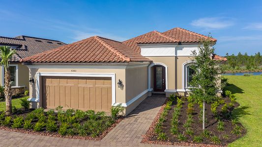 Esplanade at Wiregrass Ranch by Taylor Morrison in Wesley Chapel - photo 17 17