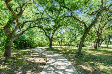 Timberbrook by Pacesetter Homes in Justin - image 11