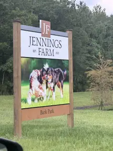 Jennings Farm by LGI Homes in Middleburg - image