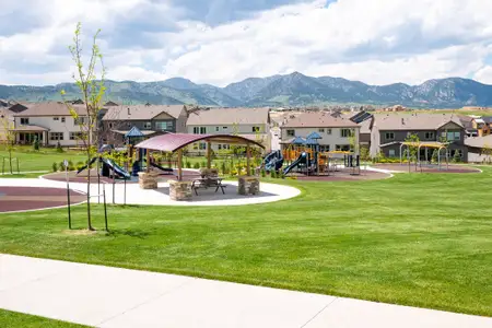 Candelas Townhomes by Tri Pointe Homes in Arvada - image