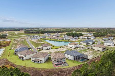 Shortgrass at Two Rivers by M/I Homes in Zephyrhills - image 13
