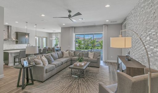 Palms at Windermere by Dream Finders Homes in Windermere - photo 8 8