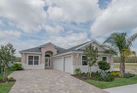 Coastal Gardens at Town Center by Paytas Homes in Palm Coast - photo 4 4