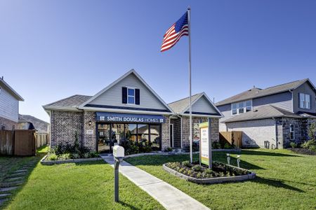 Sierra Vista 60's by Smith Douglas Homes in Iowa Colony - photo 0 0