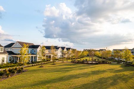 Nexton – Midtown – The Garden Collection by David Weekley Homes in Summerville - image 13