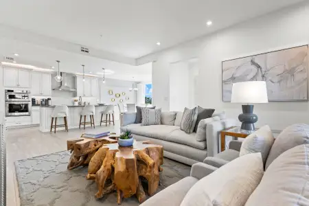 Arboretum by Mattamy Homes in Naples - image 10