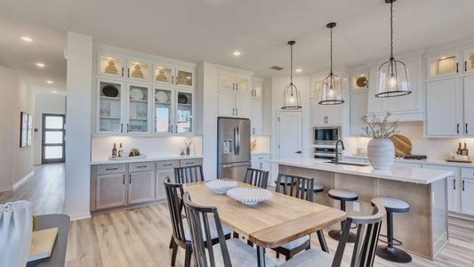 Briarwood by DRB Homes in Elgin - image 7