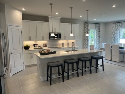 Copperleaf by Ryan Homes in Ocala - photo 14 14